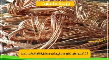 1.25 مليار دولار.. تطور جديد في مشروع عملاق لإنتاج النحاس بزامبيا 1